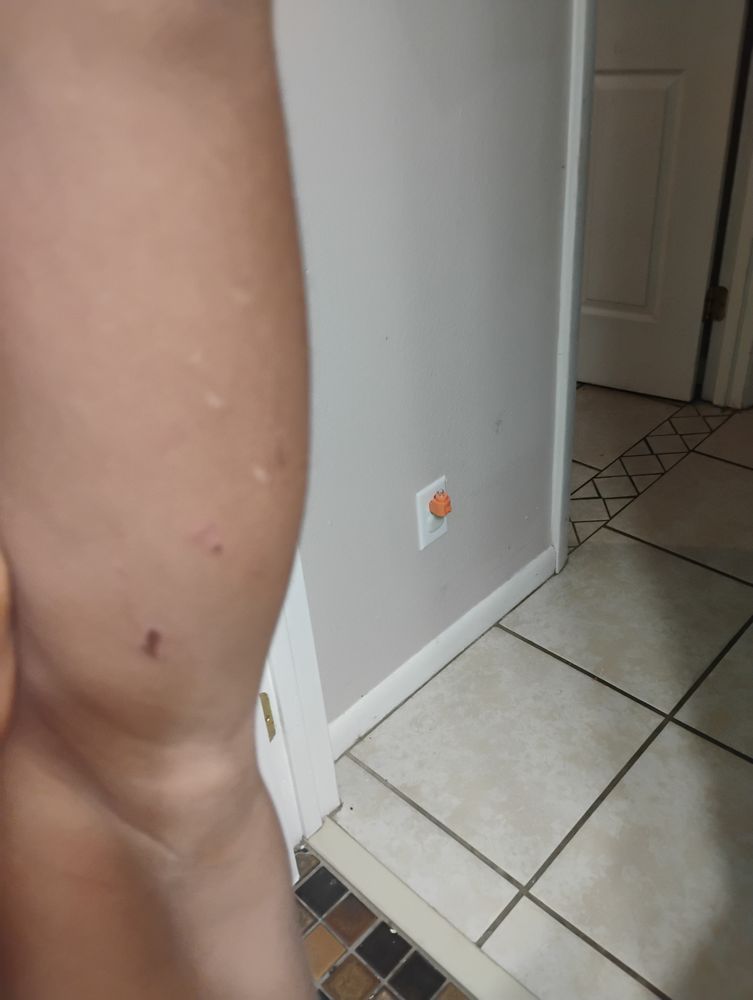 Future Stars Preschool Academy - childcare center in Ocala, FL