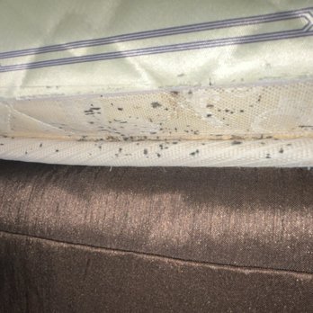Quality Inn & Suites South - Bed bugs... - Hotels Near Me - Sioux Falls, South Dakota Quality Inn & Suites South - Bed bugs... - Hotels Near Me - Sioux Falls, South Dakota