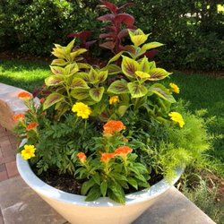 Elegant Outdoors - Client Planting