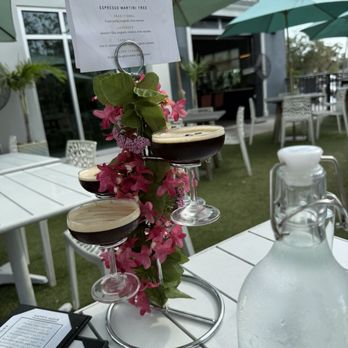 Rome + Fig - tree - Seafood Near Me - Tampa, Florida