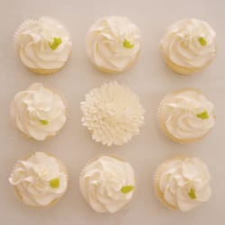 B-Tasty Cupcakes - Key Lime