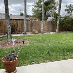 Costlow Tree Service - Before