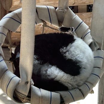 Henry Vilas Park Zoo - Zoos Near Me - Madison, Wisconsin