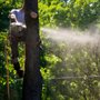 Photo of Perfect Trees Services