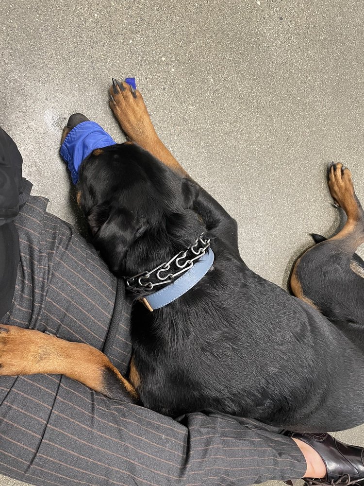 MIDNIGHT SUN ANIMAL HOSPITAL & EMERGENCY CARE Updated August 2024