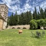 Photo of Abbazia San Pietro in Valle