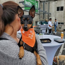 Healthy Spot - Pasadena - Pups & Pancakes event at Healthy Spot Los Feliz