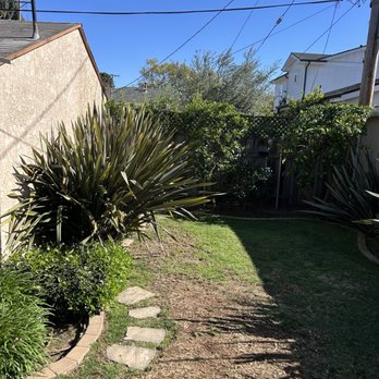 Franciscos Tree Service - Tree trim - Tree Services Near Me