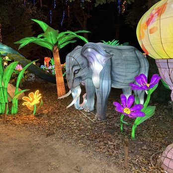 Boston Lights: A Lantern Experience - Local Flavor Near Me - Boston, Massachusetts