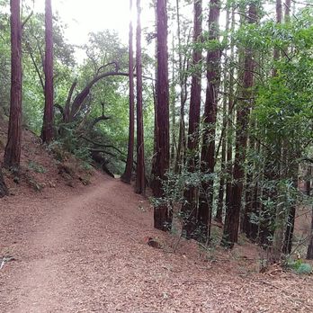 Joaquin Miller Park - Parks Near Me - Oakland, California Joaquin Miller Park - Parks Near Me - Oakland, California