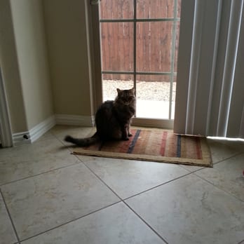 Life Pawtners - There are birds outside!! - Dog Walkers Near Me
