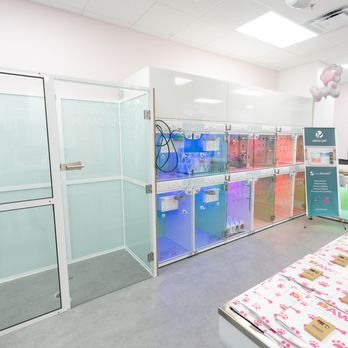 Paws Veterinary Clinic - More Fear Free cages for the best possible comfort - Veterinarians Near Me - Delray Beach, Florida Paws Veterinary Clinic - More Fear Free cages for the best possible comfort - Veterinarians Near Me - Delray Beach, Florida