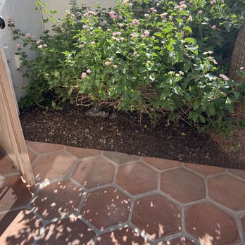 Hilario Landscaping - Lawn Services Near Me Hilario Landscaping - Lawn Services Near Me