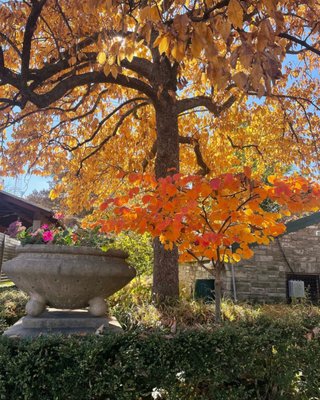 Civic Garden Center of Greater Cincinnati by null