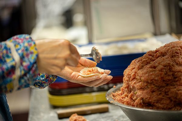 Luscious Dumplings by null