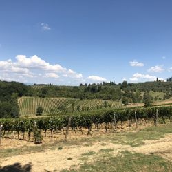 Tuscany Bike Tours