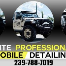 Elite Professional Mobile Detailing