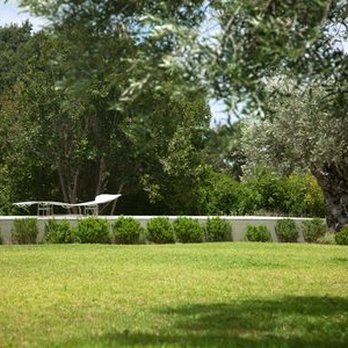 Boutique Gardens - a lawn with a lounge chair and olive trees - Landscaping Near Me - Vancouver, British Columbia Boutique Gardens - a lawn with a lounge chair and olive trees - Landscaping Near Me - Vancouver, British Columbia