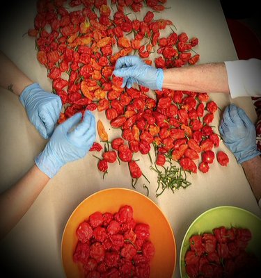 PuckerButt Pepper Co by null