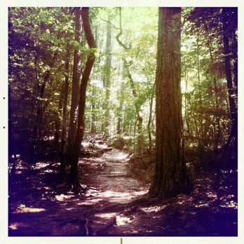 William B Umstead State Park - Hiking Near Me - Raleigh, North Carolina