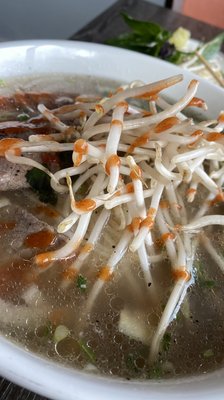 Shanghai Cafe by null