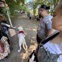 The Connecticut Renaissance Faire