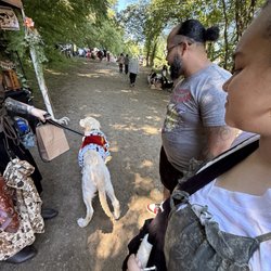 The Connecticut Renaissance Faire - The royal pup