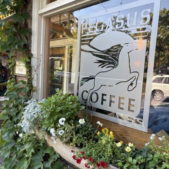 Pegasus Coffee House - Coffee & Tea Near Me - Bainbridge Island, Washington Pegasus Coffee House - Coffee & Tea Near Me - Bainbridge Island, Washington