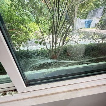 Corner Window Cleaning - Tree blocking window, never been cleaned before, very dirty before cleaning - Window Washing Near Me