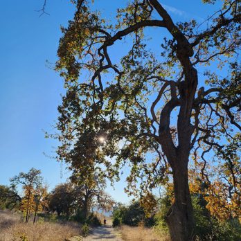 Cheeseboro Canyon Trail - Hiking Near Me - Agoura Hills, California Cheeseboro Canyon Trail - Hiking Near Me - Agoura Hills, California