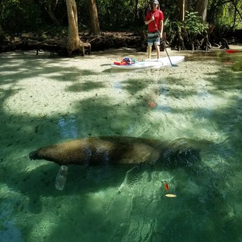 Sup Weeki - Rafting/Kayaking Near Me - Weeki Wachee, Florida Sup Weeki - Rafting/Kayaking Near Me - Weeki Wachee, Florida