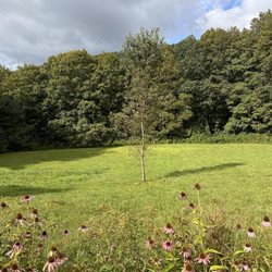 Woodstock Country Inn