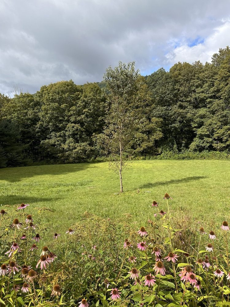 Woodstock Country Inn