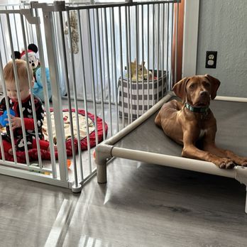 K911! - Pet Training Near Me