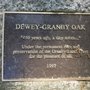 Dewey-Granby Oak