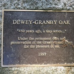 Dewey-Granby Oak
