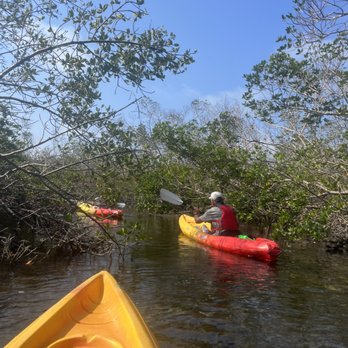 SUP Englewood - Heading into the mangrove tunnel - Paddleboarding Near Me - Placida, Florida