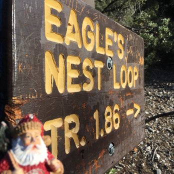 Eagles Nest Trail - Hiking Near Me - Mount Charleston, Nevada