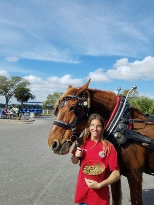 Sea Island Carriage Company by null