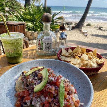 Mina - Ceviche - Cocktail Bars Near Me - Tulum, ROO Mina - Ceviche - Cocktail Bars Near Me - Tulum, ROO