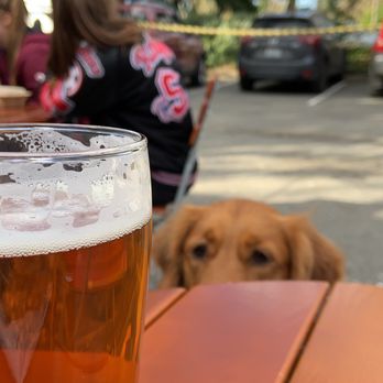 Postdoc Brewing - Alpha male beer - Breweries Near Me - Redmond, Washington