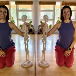 Blue Lotus Kailua - Anatomy based classes--alignment matters