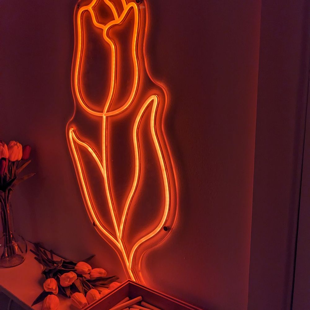 Dankbaar - Neon tulip - Modern European Near Me - Philadelphia, Pennsylvania Dankbaar - Neon tulip - Modern European Near Me - Philadelphia, Pennsylvania