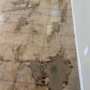 Quality Carpet and Tile Cleaning - Carpet Cleaning Near Me Quality Carpet and Tile Cleaning - Carpet Cleaning Near Me