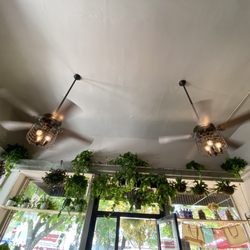 Eco Now - Riverside - The entrance from inside