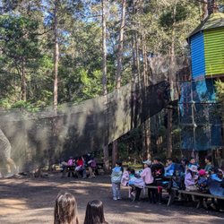 Tree Top Adventure Park