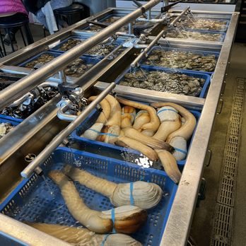 Taylor Shellfish Farms - Geoduck - Seafood Near Me - Seattle, Washington