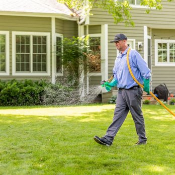 SpringGreen - Tree Services Near Me - Peoria, Illinois SpringGreen - Tree Services Near Me - Peoria, Illinois