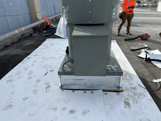 BlueHands Roofing Logo