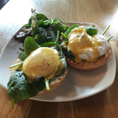 Knots Cafe & Living (Paya Lebar) by null